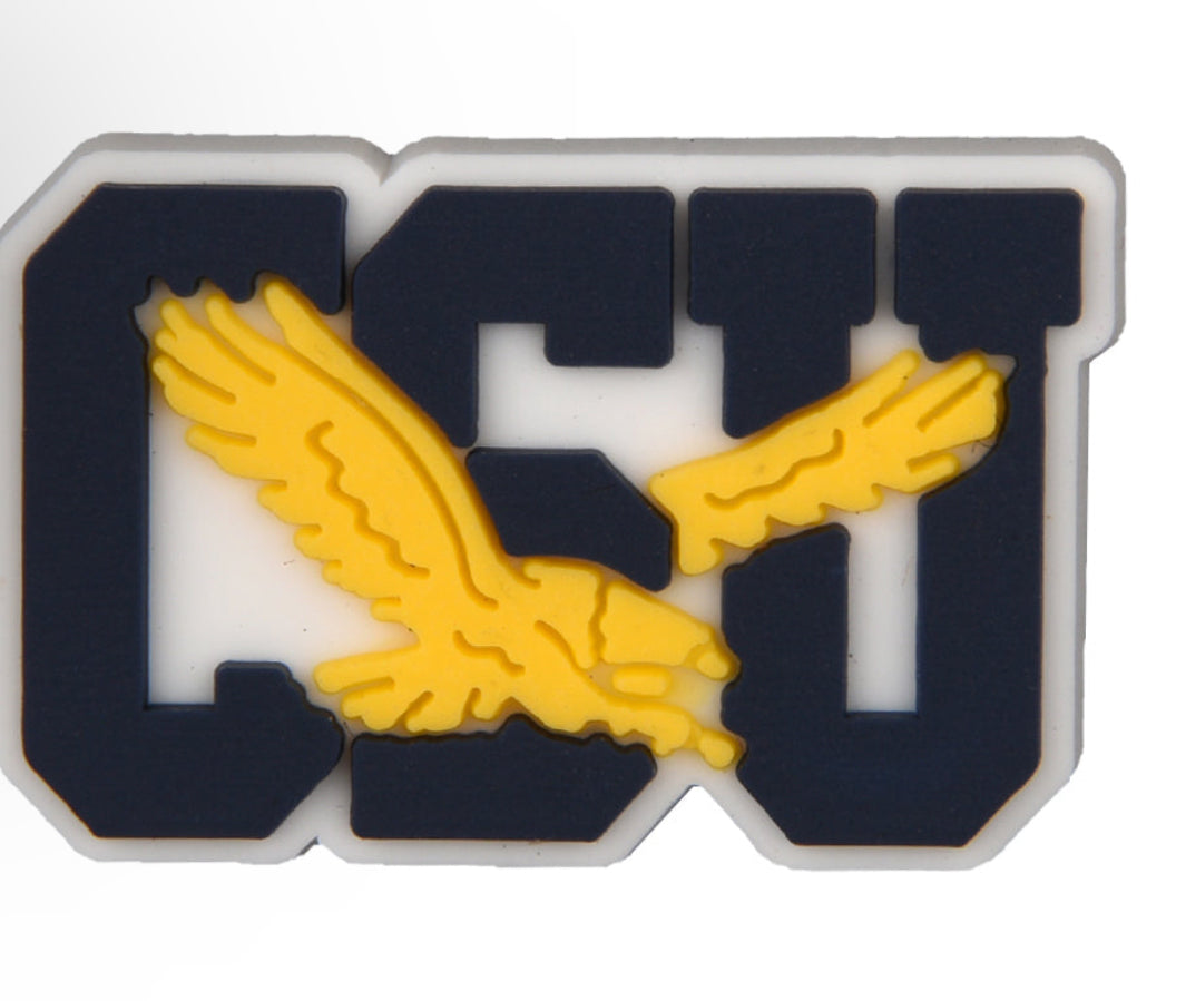 HBCU Shoe Charm - Alabama, Coppin, Dillard, Fort Valley, Jackson State, Southern, Tennessee