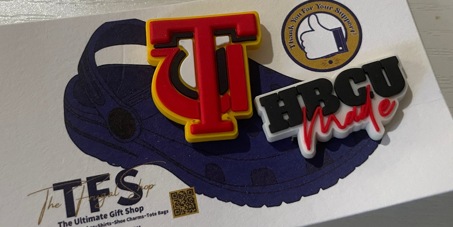 Colorful logo on a white card with 'TFS' branding on a metallic surface