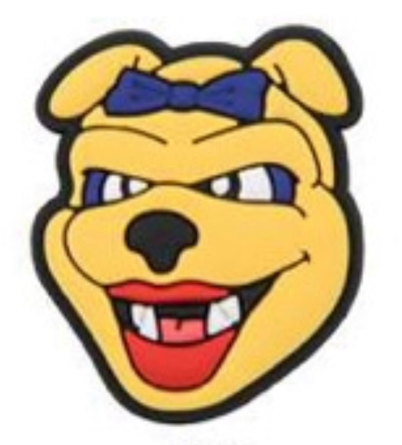 HBCU North Carolina A&T University Charm