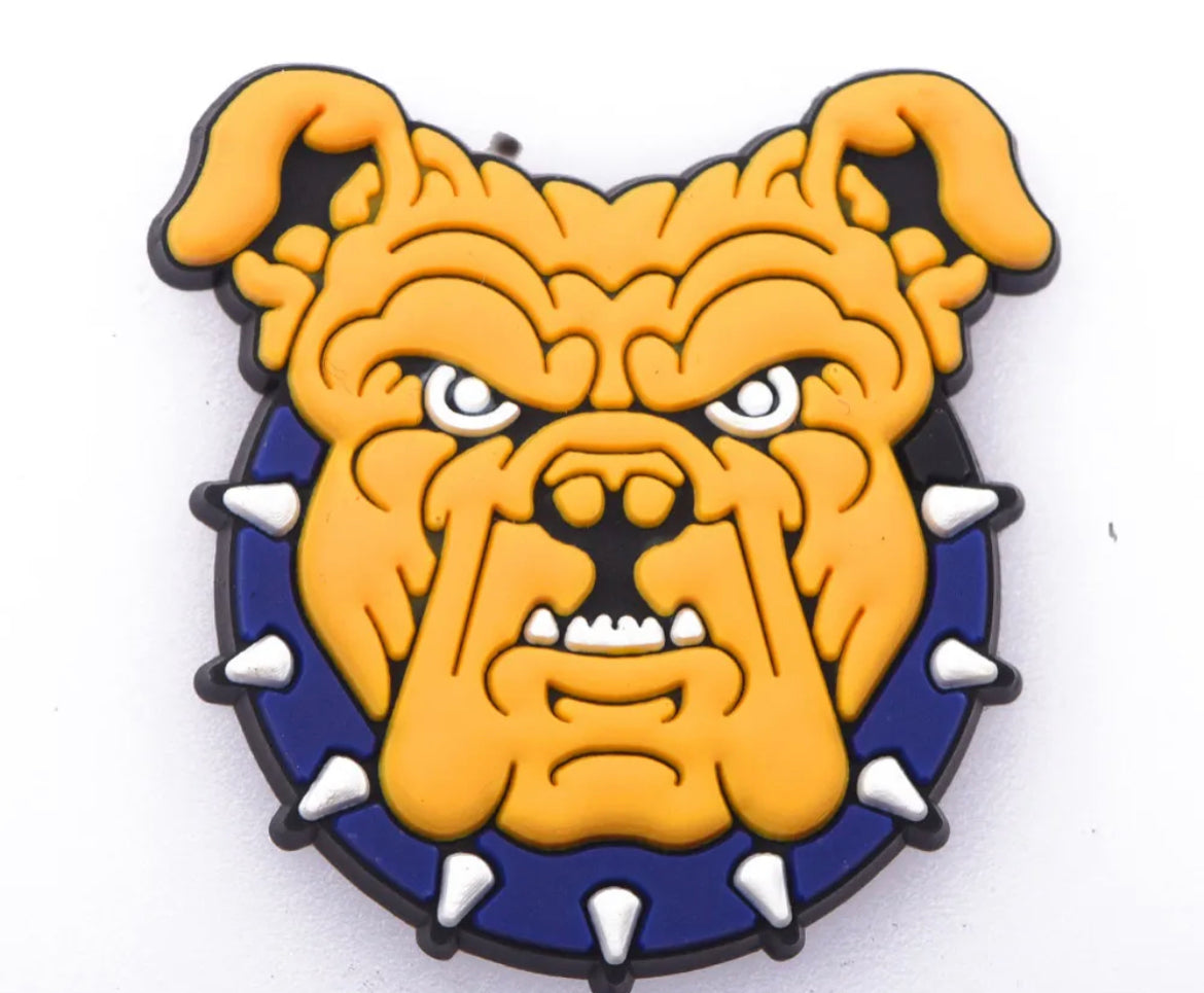 HBCU North Carolina A&T University Charm