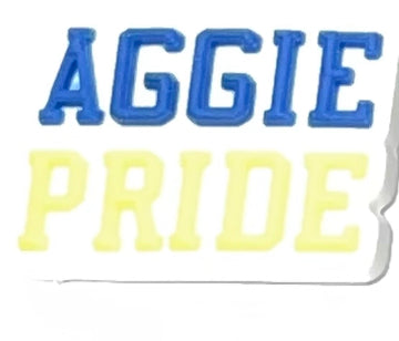 HBCU North Carolina A&T University Charm