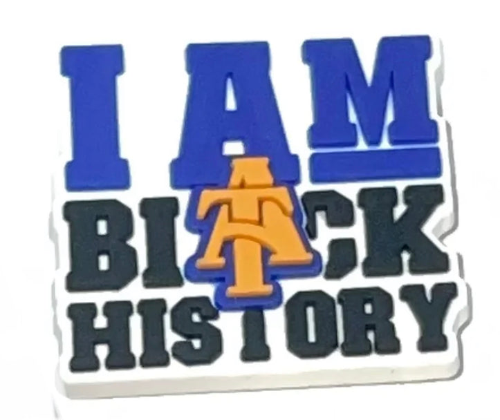 HBCU North Carolina A&T University Charm