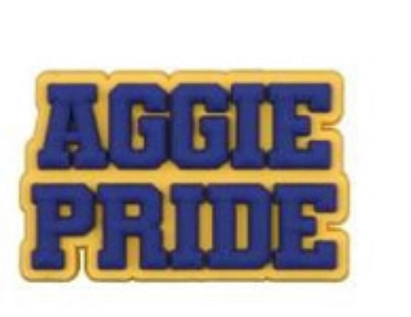 HBCU North Carolina A&T University Charm