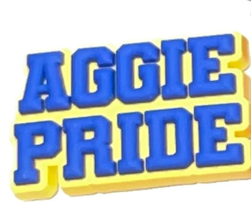 HBCU North Carolina A&T University Charm