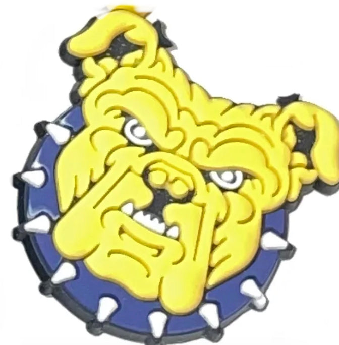HBCU North Carolina A&T University Charm