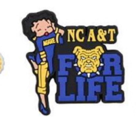 HBCU North Carolina A&T University Charm
