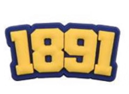 HBCU North Carolina A&T University Charm