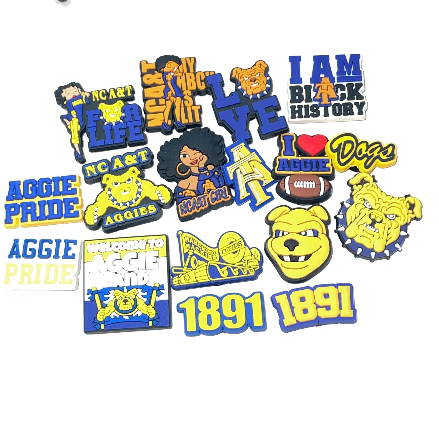 HBCU North Carolina A&T University Charm