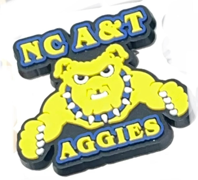 HBCU North Carolina A&T University Charm
