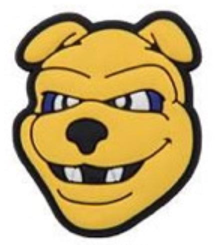 HBCU North Carolina A&T University Charm