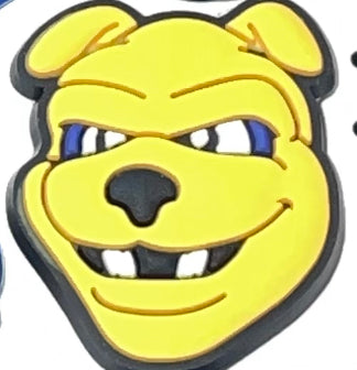 HBCU North Carolina A&T University Charm