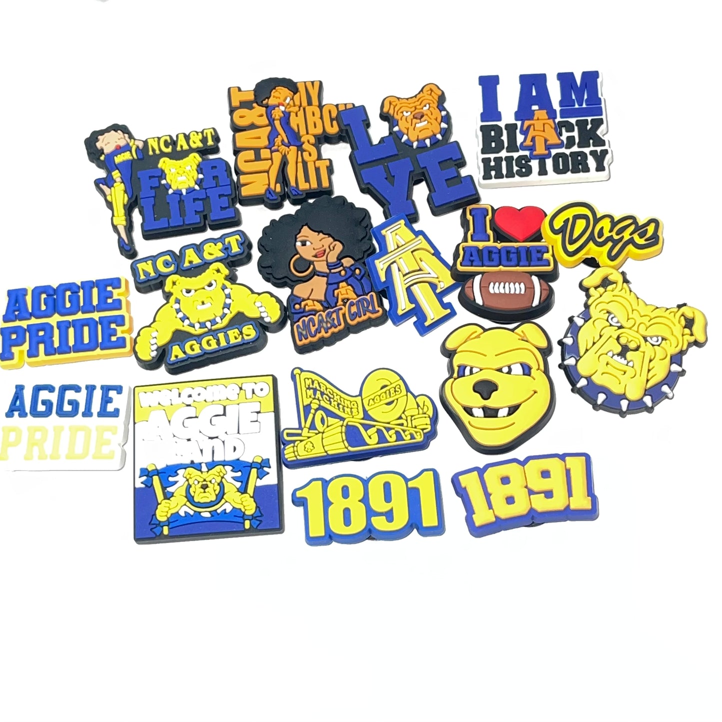 HBCU North Carolina A&T University Charm