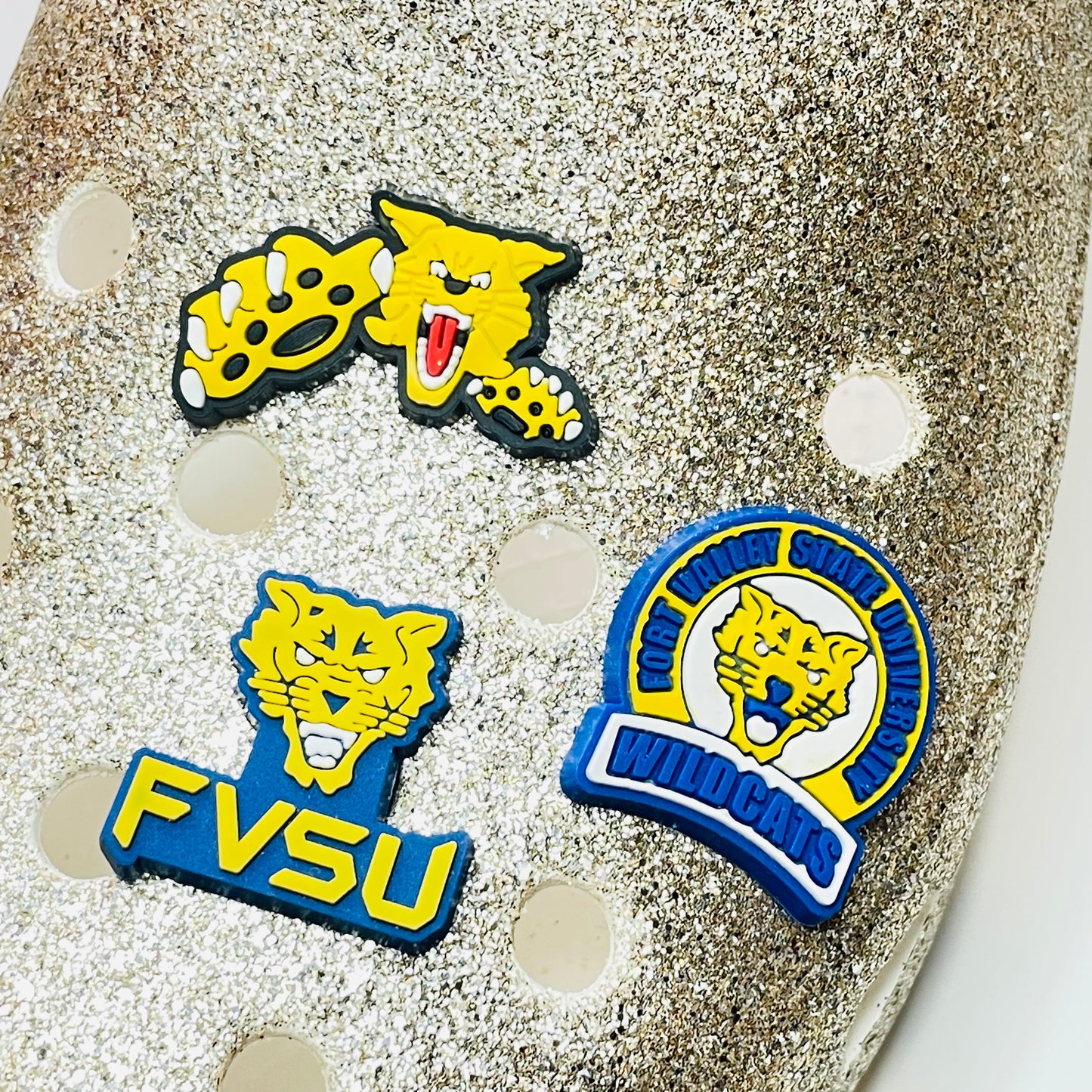 HBCU Shoe Charm - Alabama, Coppin, Dillard, Fort Valley, Jackson State, Southern, Tennessee