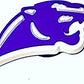HBCU Prairie View A&M University Shoe Charms
