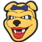 HBCU North Carolina A&T University Charm