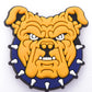 HBCU North Carolina A&T University Charm