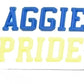 HBCU North Carolina A&T University Charm