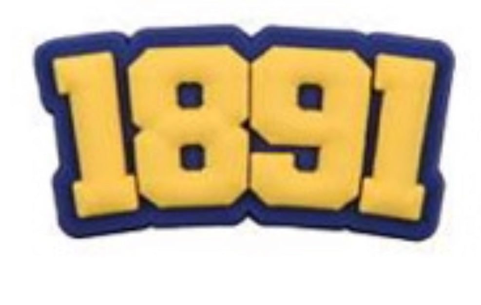 HBCU North Carolina A&T University Charm