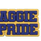 HBCU North Carolina A&T University Charm