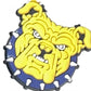 HBCU North Carolina A&T University Charm
