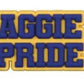 HBCU North Carolina A&T University Charm