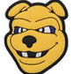 HBCU North Carolina A&T University Charm
