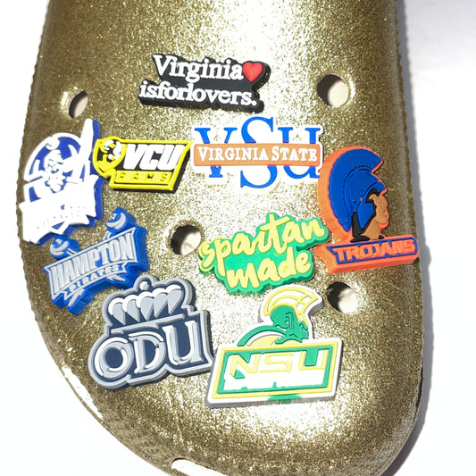 Virginia is for Lovers Universities Shoe Charm