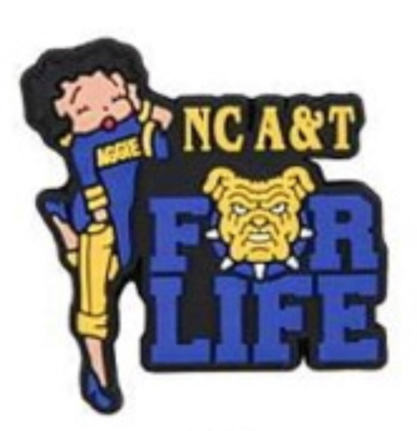 HBCU North Carolina A&T University Charm