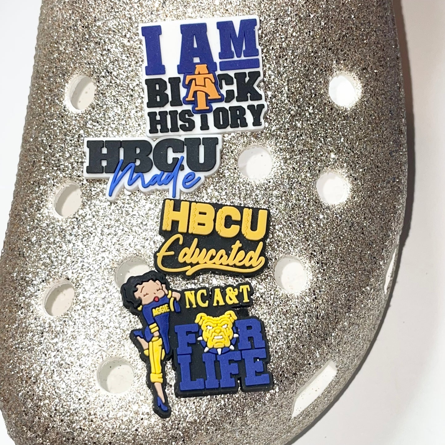 HBCU North Carolina A&T University Charm Grab Bag