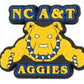 HBCU Shoe Charm - Allen | Arkansas Pine Bluff | Bowie| Fisk | Grambling | Jarvis Christian | NC A&T | Xavier | Wilberforce