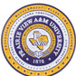 HBCU Enamel Pins