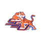 HBCU Shoe Charm